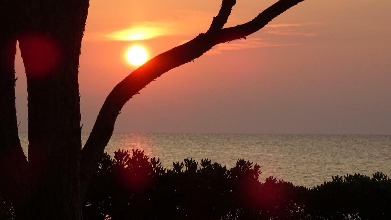 Budoni - The House Of The Rising Sun 외부 사진